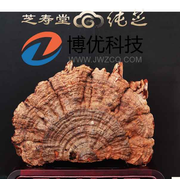 重慶洋世達實業(yè)(集團)有限公司旗下北京芝壽堂健康管理有限公司委托我司網(wǎng)站。正是看中我司強大的技術(shù)團隊和多年的建站經(jīng)驗。